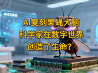 �w��ȤՄ����ʮ������AI��(f��)�̹�ω���X���ƌW(xu��)���ڔ�(sh��)�����焓(chu��ng)����������